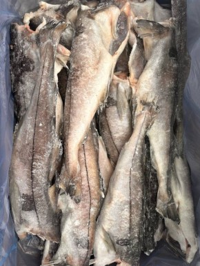 ����� � ��������: �������� � �������� �� ��������� ����