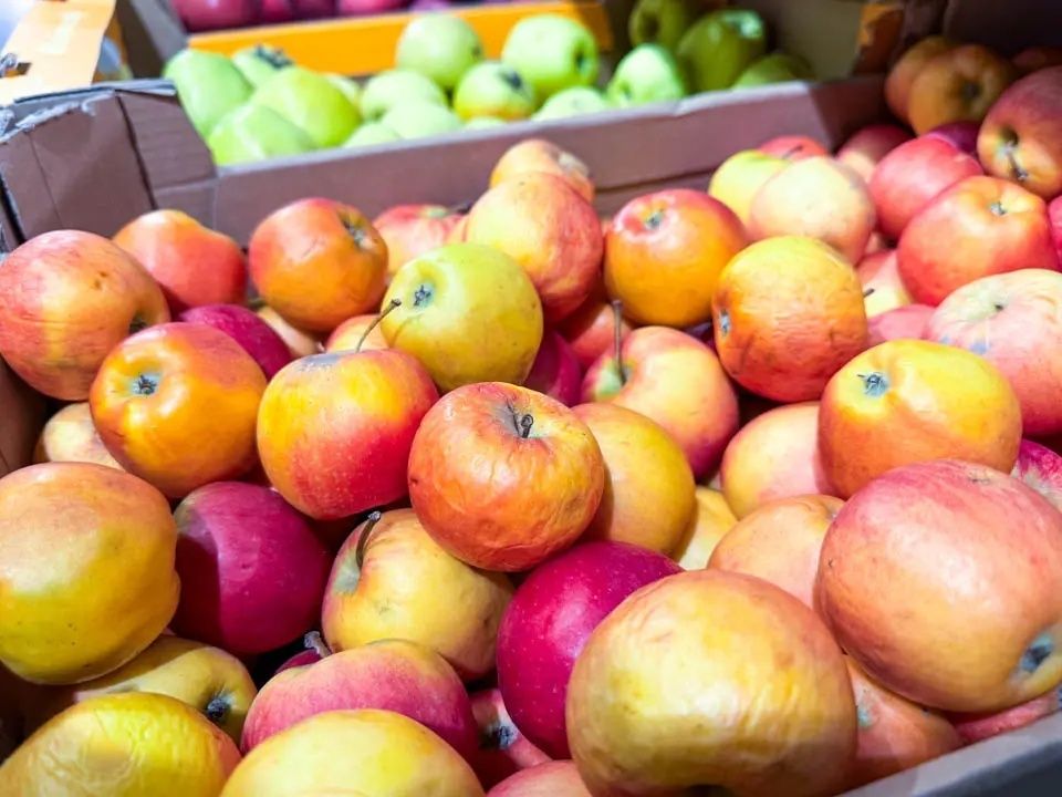 ��� ��������� ������ �� �����: ������� ����������� ��������