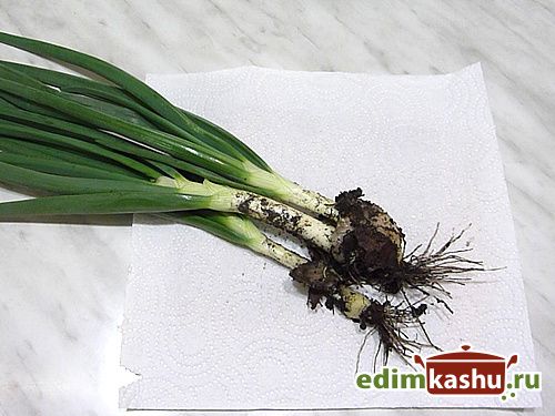 ��� ��������� ����������� � ��������� ������� ���