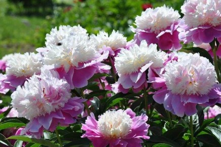 ����� � ����� ����: ������� ��������� ����� �� ���������� �������