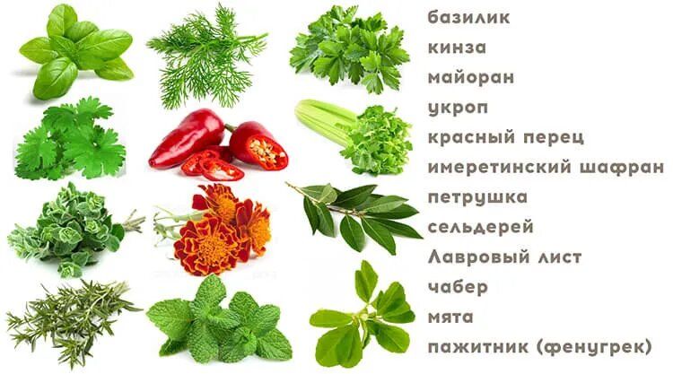 ����� ������: ���������� ����������, ������ �������� ��������