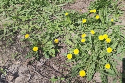 ��� �������� ����� ��������� ��� ������: ������� ���� ��� ��������� ����