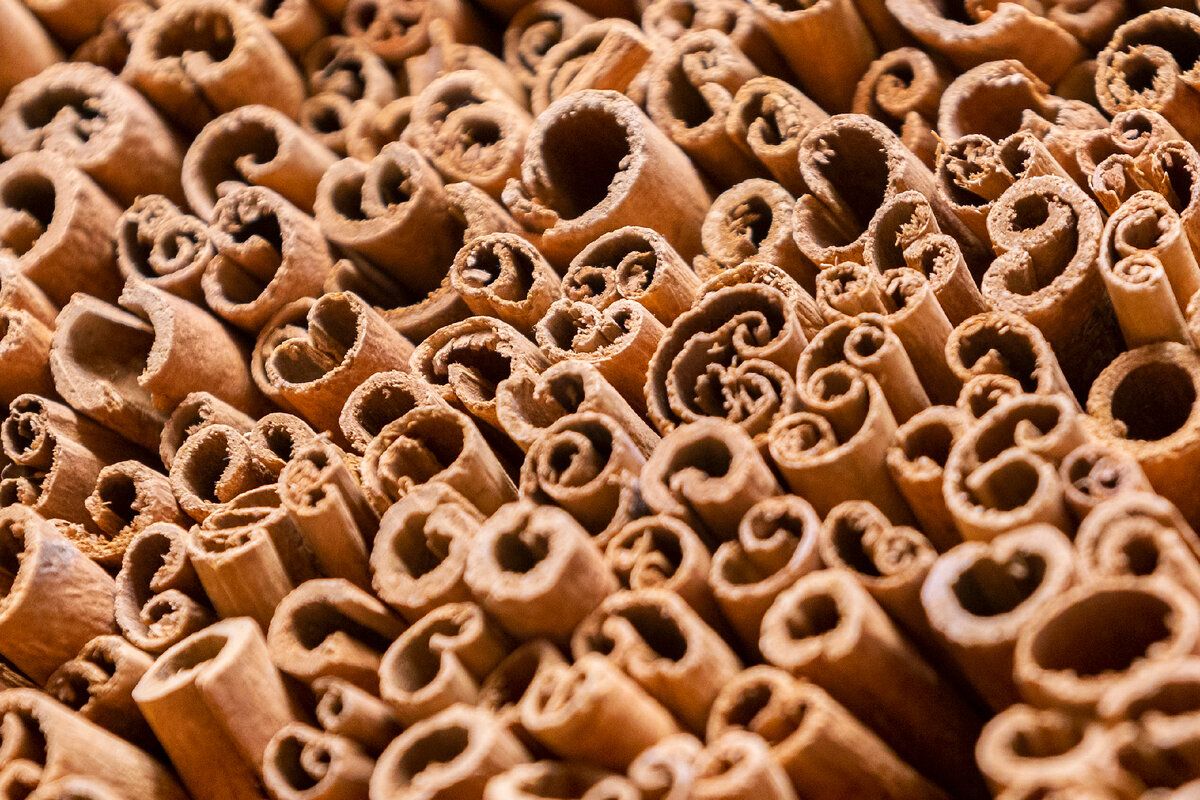 ����� ������: ��� �������� �������� �� �������� � ���������� ��������