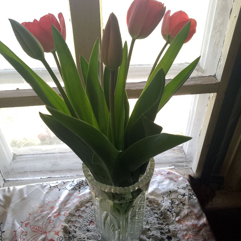 �������� ���������� ������������: ��� ������������� ��������� ����