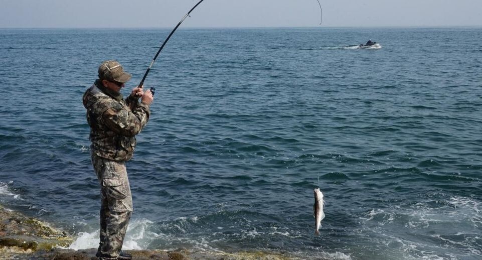 ������: ��������� �������� ����� ��� �������