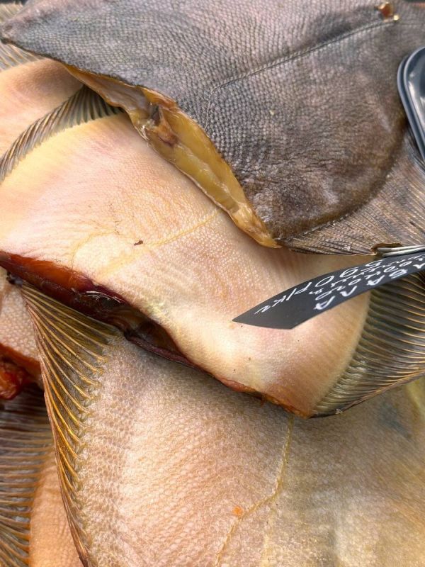 ������� ��������� ��������: ����� ���������������� �����