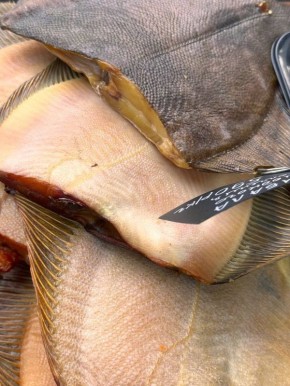 ������� ��������� ��������: ����� ���������������� �����