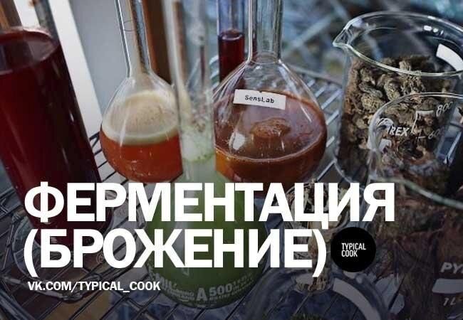 ����� �����������: �� ���� �� ����