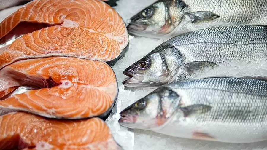 Как определить свежесть рыбы: простые советы от эксперта
