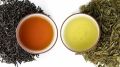 Как выбрать между зеленым и черным чаем: что полезнее?