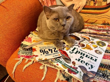 � ���� ��������: ����������� ��� ��������� ������ �������