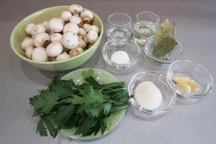 ������������ �������: ������� ������������ ���������� �� 10 �����