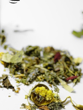 ������ �������: ��� ���� ������ ����� ������� �������� �����������