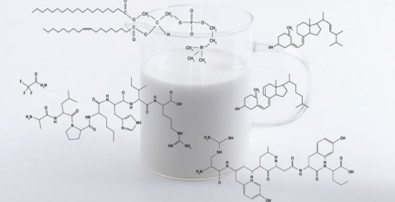 ������: ������ � ���� � ����������� ��������