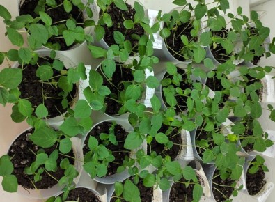 ��������� ����� � �������� ������: ����������� � ���������� ������