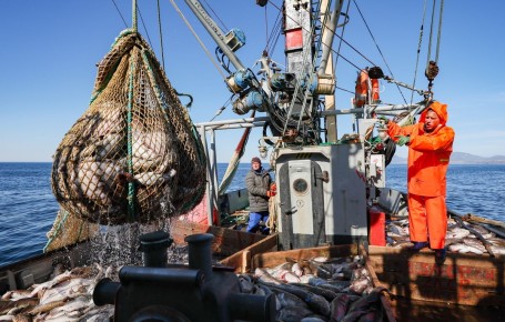 �� ������� �������� ������ �������� �����