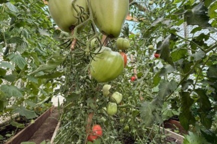 ������� ��������: ������� ���������� ������, ������� ����� �����������