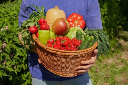 ��� �������� ��������� ��������: ������� �� ������ � �������