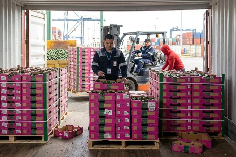 ����� ���������: ��� BSG ���������� � ���������� ������� ��� ����������� ������������� ������