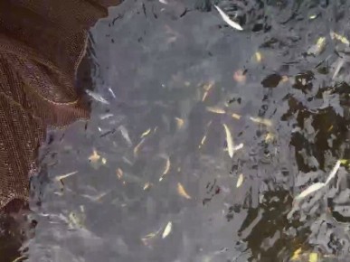 � ��������� ������ �������� 150 ����� ������� ������� ��� ��������� ����