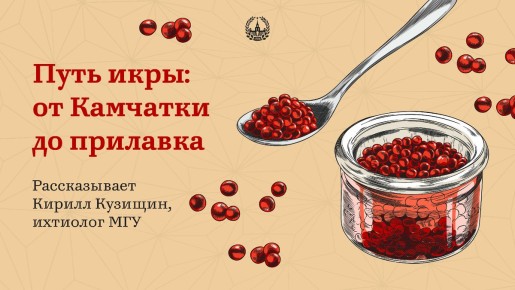 ����: ������ ��� ������ ���������