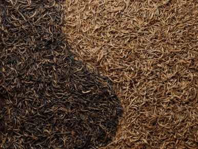 ����������� ��� ����� ��� ����� ���: ������� ��� � ����������