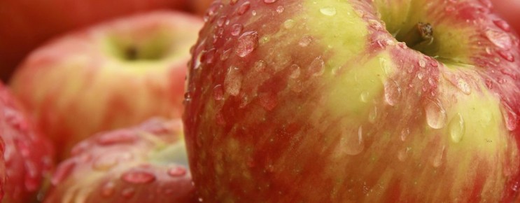 ��� ������� ��������� ����: ������� � ������