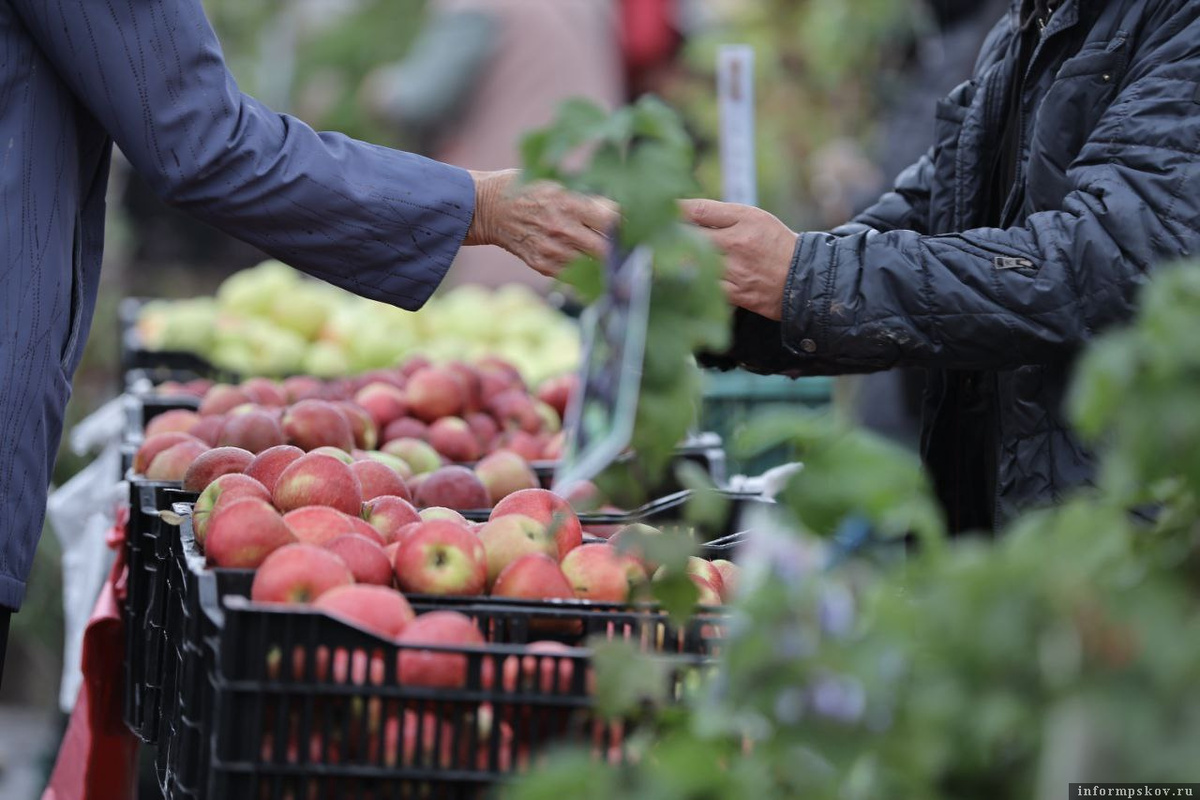 Октябрь: сезон полезных продуктов для здоровья и иммунитета