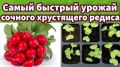 ��� ��������� ����� � �������: ������� ��������� ����������� ������