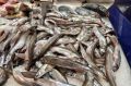 ФАС инициирует меры для большей прозрачности ценообразования на рыбную продукцию