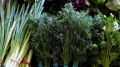 Весна на тарелке: какие продукты помогут восстановить здоровье